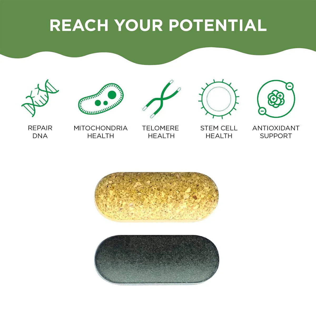 HealthyCell AM PM Healthspan Vitamins (30 day Supply) - Image 12