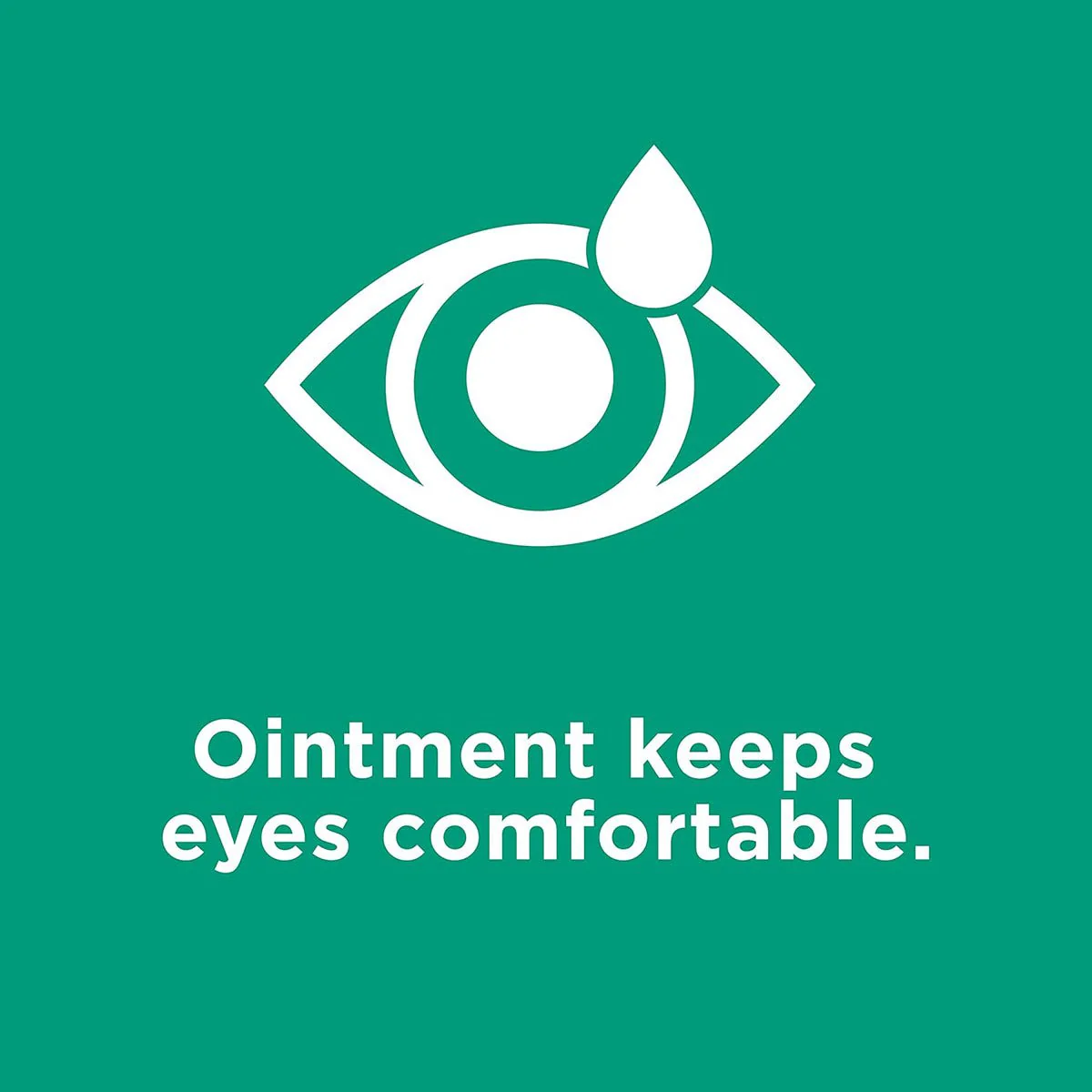 Systane Nighttime Lubricant Eye Ointment (3.5g Tube) - Image 4